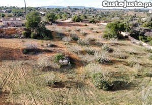 imagem_4