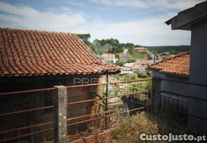 imagem_11