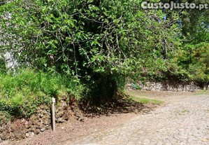 imagem_22