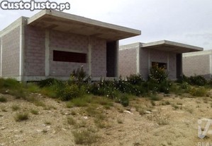 imagem_12