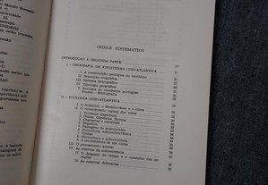 imagem_8