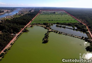 imagem_19
