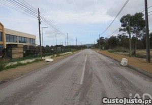 imagem_11