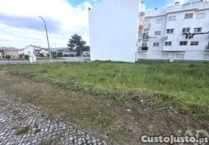 imagem_10