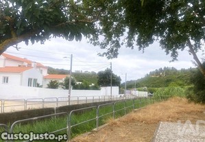 imagem_8