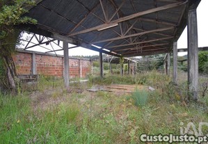 imagem_14