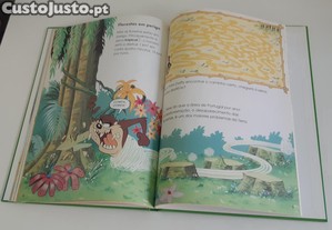 imagem_8