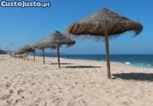 imagem_12
