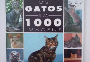Os Gatos Em 1000 Imagens
