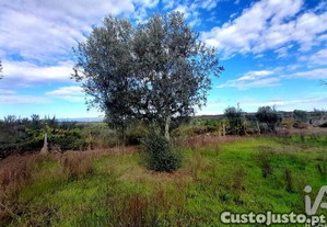 imagem_27
