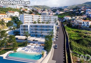 imagem_11