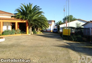 imagem_6