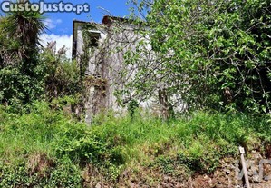 imagem_28