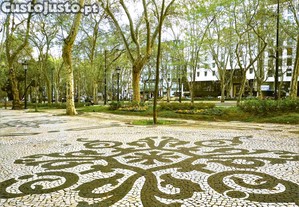 imagem_33