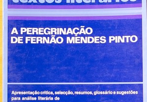 A peregrinação de Fernão Mendes Pinto