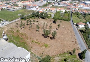 Terreno Para Construção Com 8.787 M2 - Arcozelo...