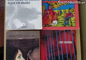 imagem_3