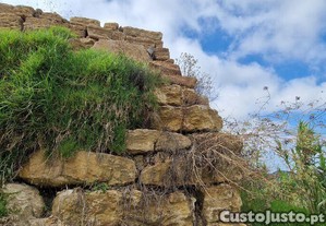 imagem_20