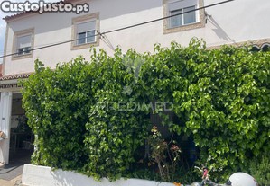 imagem_13