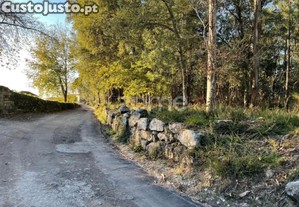 Terreno Rústico Plano Com 38.100M² Em Vila De...
