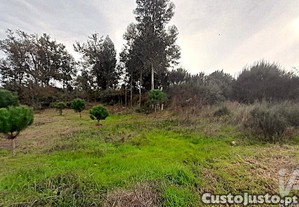 imagem_23