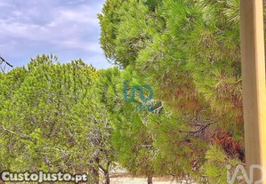 imagem_21