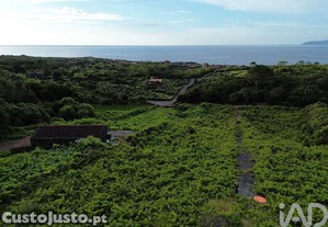 imagem_11