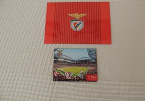Íman do Benfica - Estádio da Luz