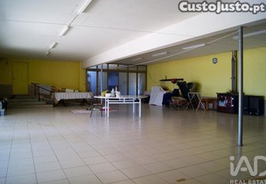 imagem_19