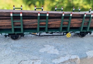 Cp e medway vagons transporte madeira .