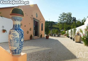 imagem_31