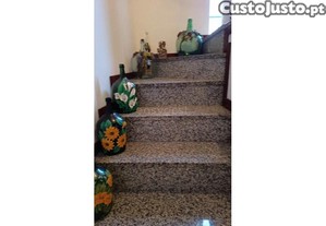 imagem_19