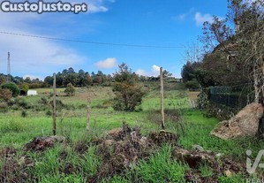 imagem_10