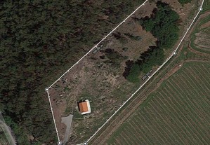 Terreno rústico em São Torcato - Ref.2001P