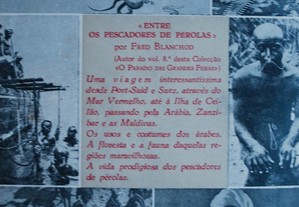 imagem_8
