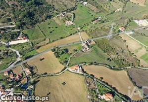 imagem_5