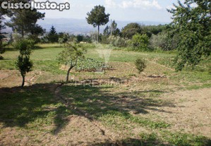 imagem_11