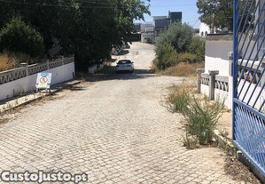 imagem_21
