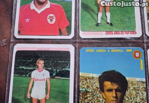 imagem_2