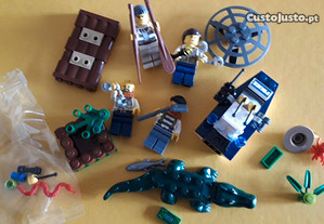 imagem_5
