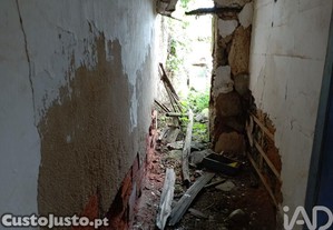 imagem_7