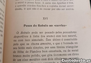 imagem_6