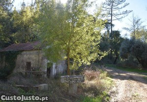 imagem_2