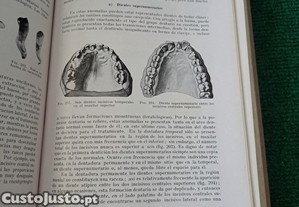 imagem_8