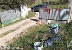 imagem_15