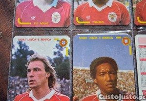 imagem_4