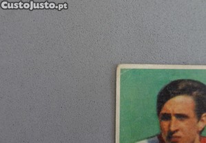 imagem_3