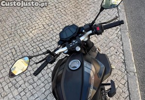 imagem_11