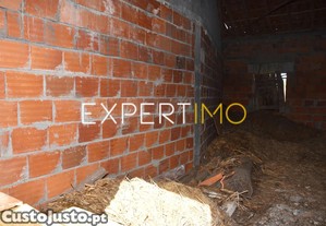 imagem_17