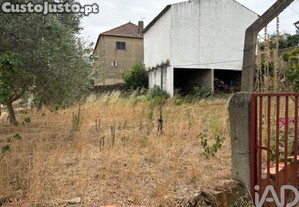 imagem_21
